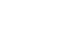 TES-Logo-text-negatiu